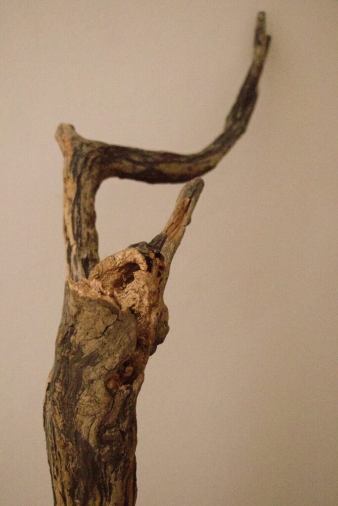 Fotografie eines Kunstobjekts aus Holz